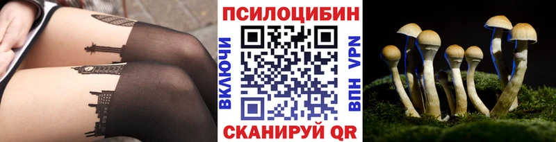 Псилоцибиновые грибы Psilocybine cubensis  где можно купить наркотик  Ряжск 